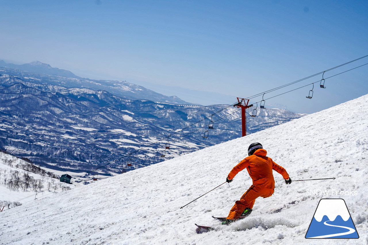 ニセコグラン・ヒラフ DYNASTAR SKI TEST RIDE DAYS Photo Session!!最高の天気に恵まれたニセコに、最高の仲間たちが集まりました☆